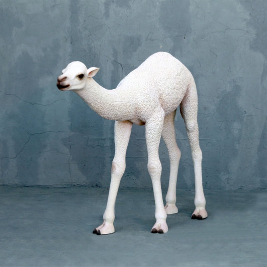 Baby Camel Life Size Statue