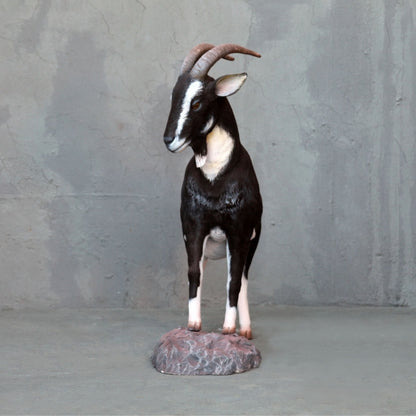 Billy Goat Life Size Statue