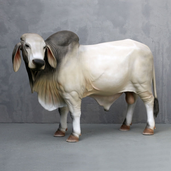 Brahman Bull Life Size Statue