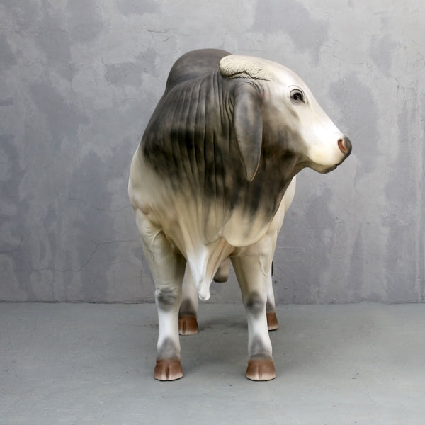 Brahman Bull Life Size Statue