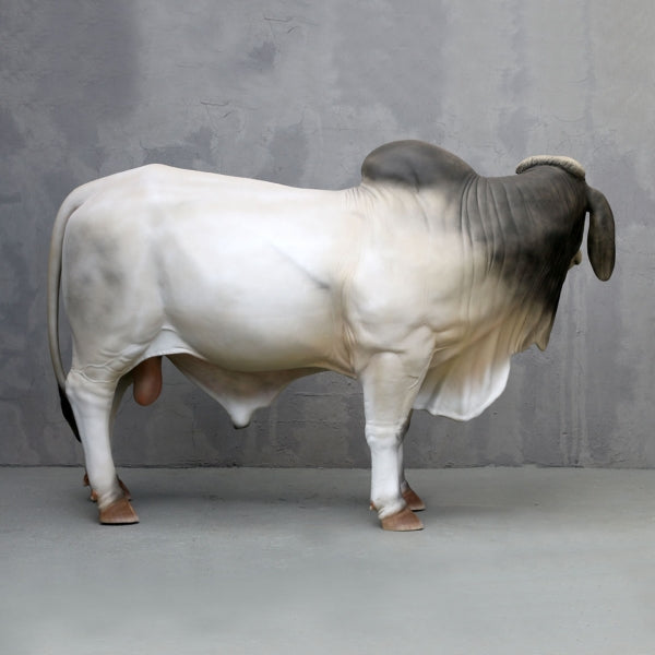 Brahman Bull Life Size Statue