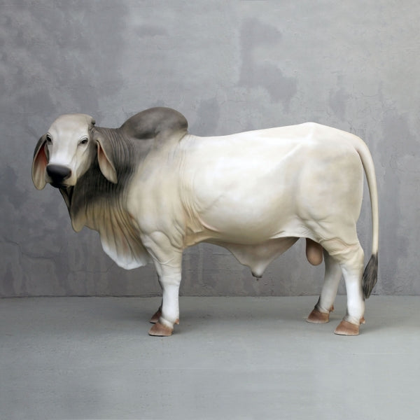 Brahman Bull Life Size Statue