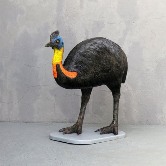 Cassowary Bird Male Life Size Statue