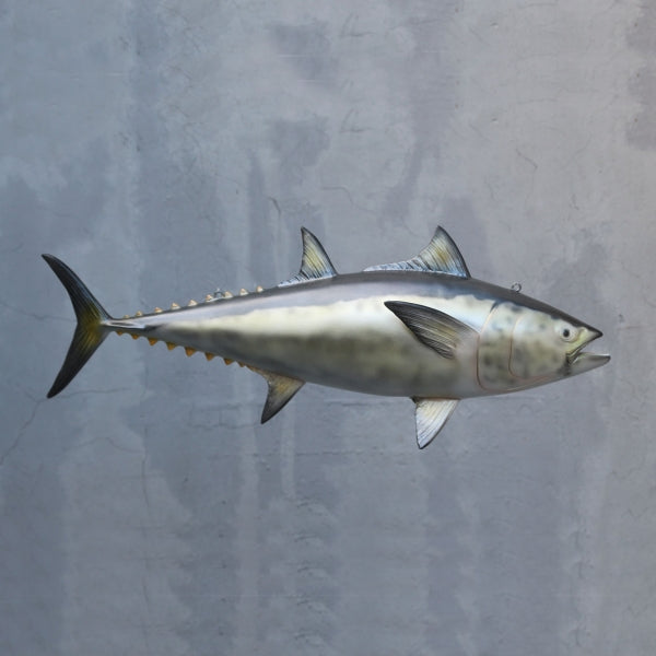 Bluefin Tuna (Northern) Silver Life Size Statue