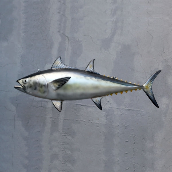 Bluefin Tuna (Northern) Silver Life Size Statue