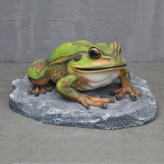 Bell Frog on Rock Life Size Statue