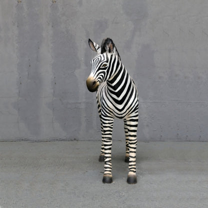Zebra Foal Life Size Statue