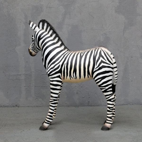 Zebra Foal Life Size Statue