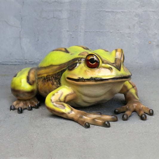 Bell Frog Life Size Statue