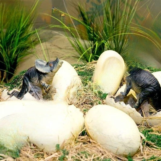 Dinosaur Nest Animatronic Hatching Dinosaur Babies