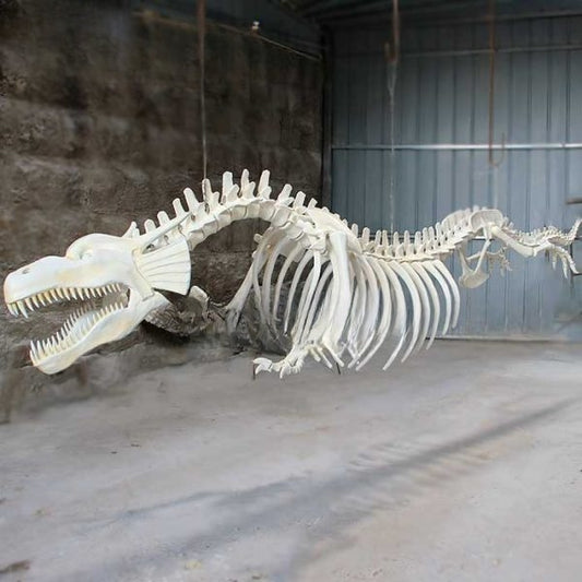 Hanging Dragon Skeleton