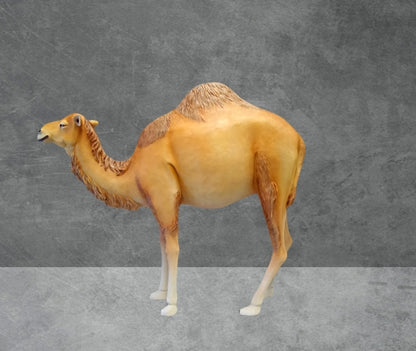 Dromedary Camel Life Size Statue