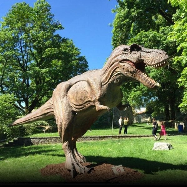 Dinosaur World Animatronic Attraction Life Size T-Rex Model