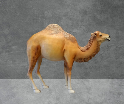 Dromedary Camel Life Size Statue