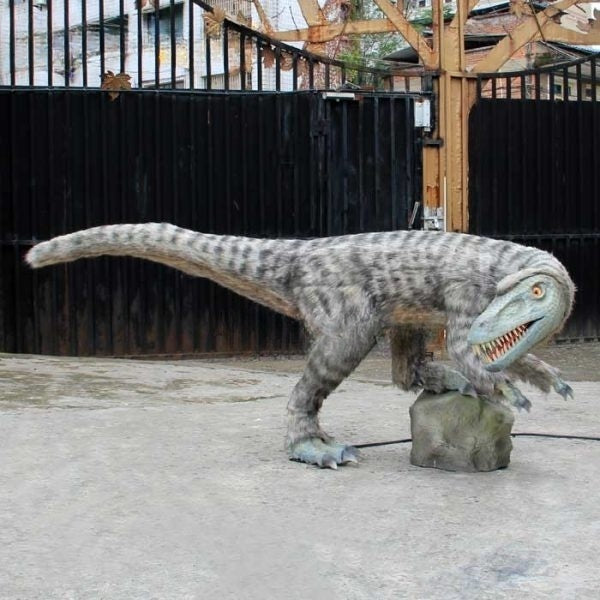 Dinosaur Exhibit Animatronic Tinimus