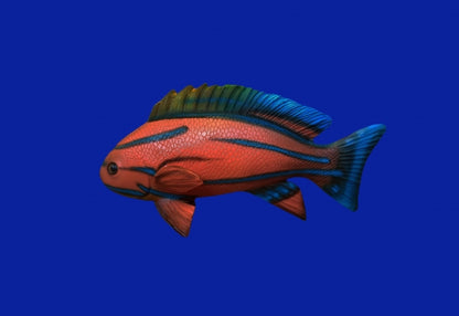 Red Striped Fish small Life Size Statue