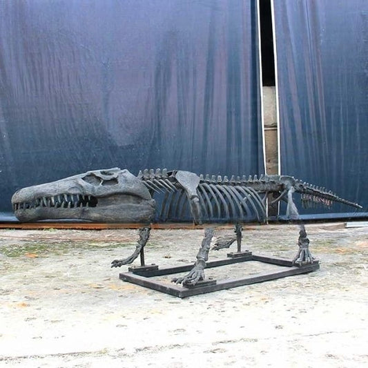 Articulated Crocodile Skeleton