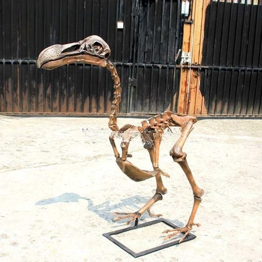 Dodo Bird Skeleton