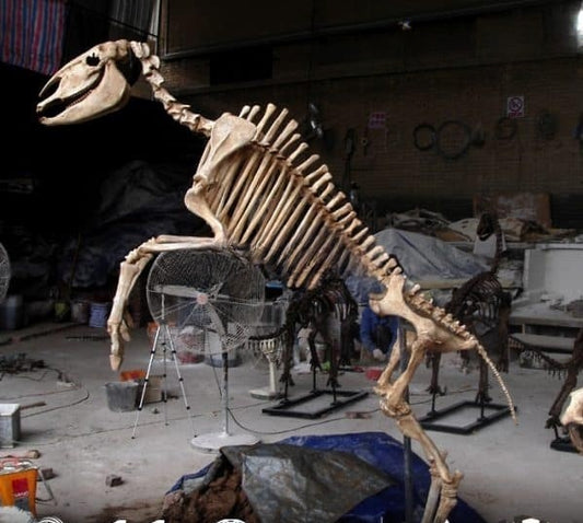 Museum Replica Artificial Anatomical Horse Skeleton