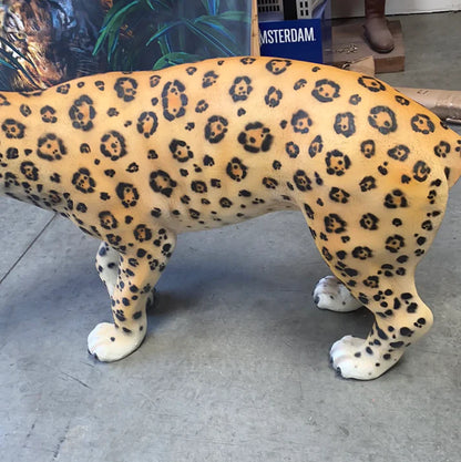 Leopard Growling Life Size Statue