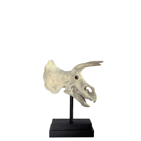 Triceratops Dinosaur Skull Statue
