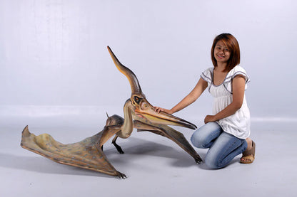 Pteranodon Ingens Dinosaur Life Size Statue