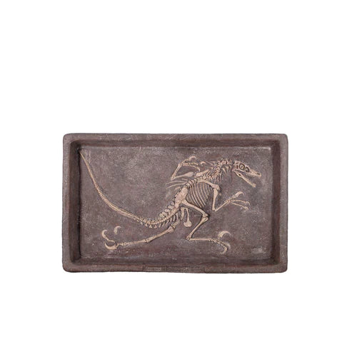 Velociraptor Dinosaur Skeleton Dig Statue