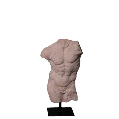 Stone Andrea Male Torso Life Size Statue