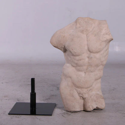 Stone Andrea Male Torso Life Size Statue
