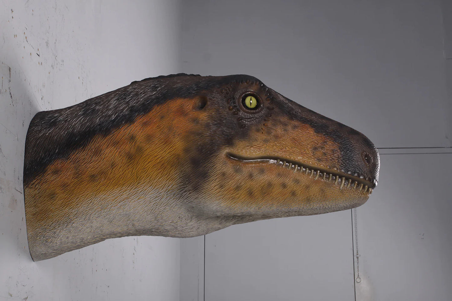 Wall Decor Theropod Dinosaur Head Life Size Statue