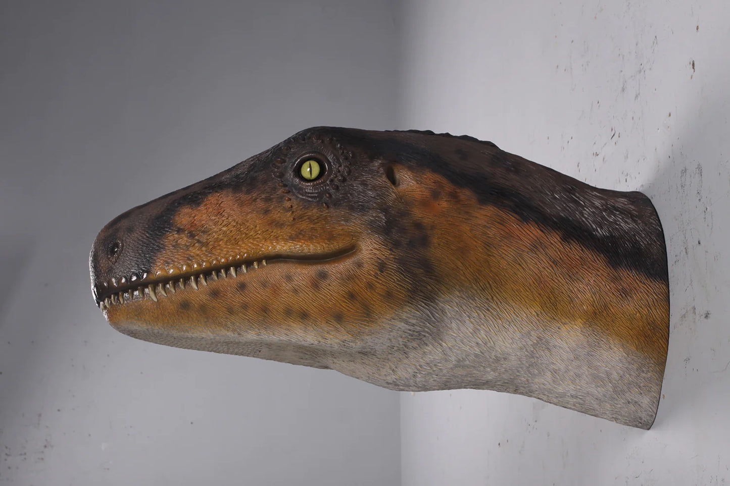 Wall Decor Theropod Dinosaur Head Life Size Statue