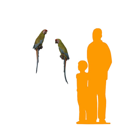 Wall Mount Macaw Buffon Parrots Bird Statue
