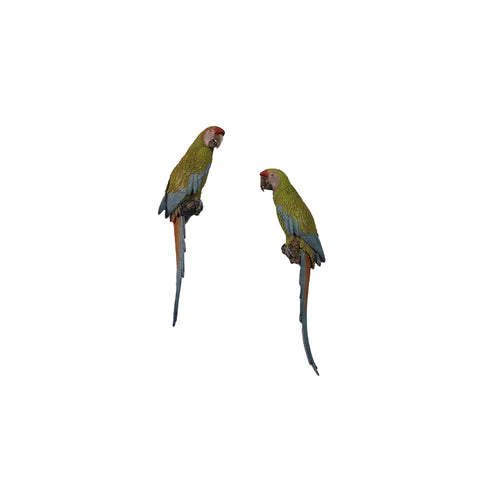 Wall Mount Macaw Buffon Parrots Bird Statue