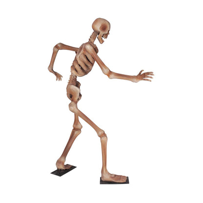 Skeleton Standing Styles Life Size Statue