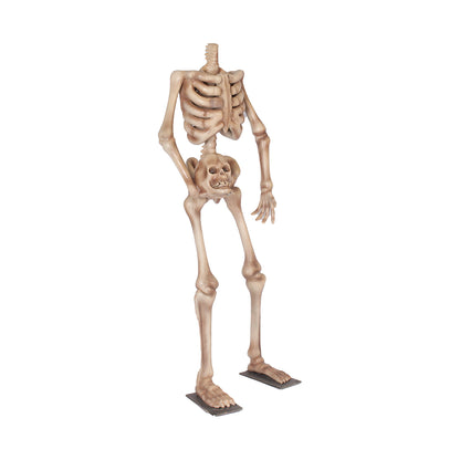 Skeleton Headless Life Size Statue