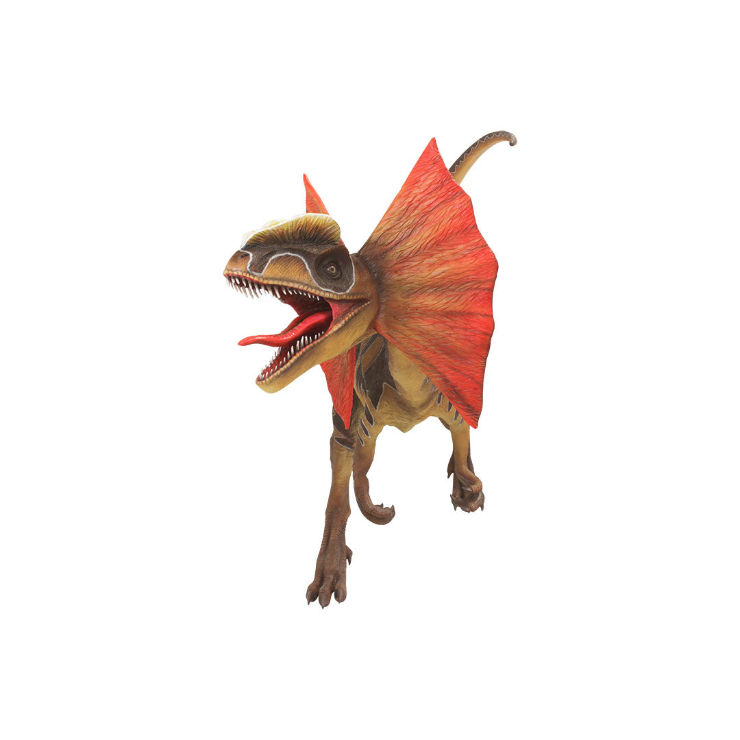 Dilophosaurus Walking Life Size Statue