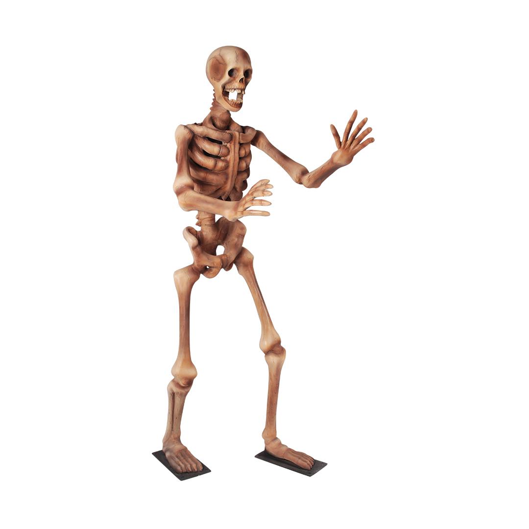 Skeleton Standing Styles Life Size Statue