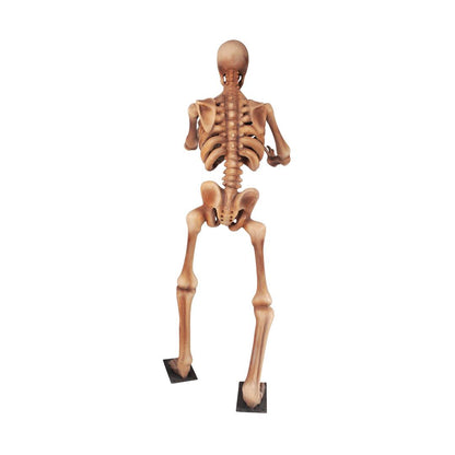 Skeleton Standing Styles Life Size Statue