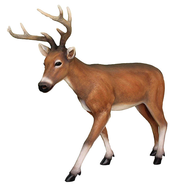 Young Deer Life Size Statue