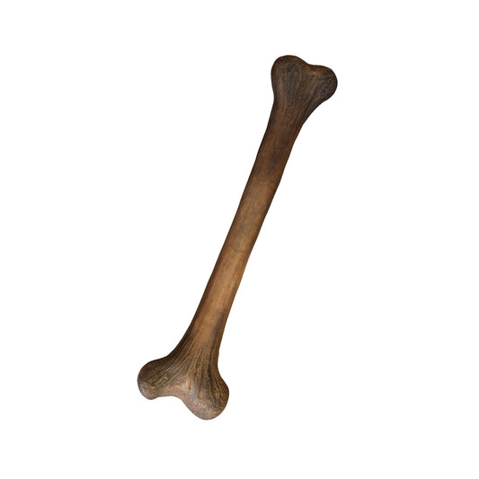 Dinosaur Bone Life Size Statue