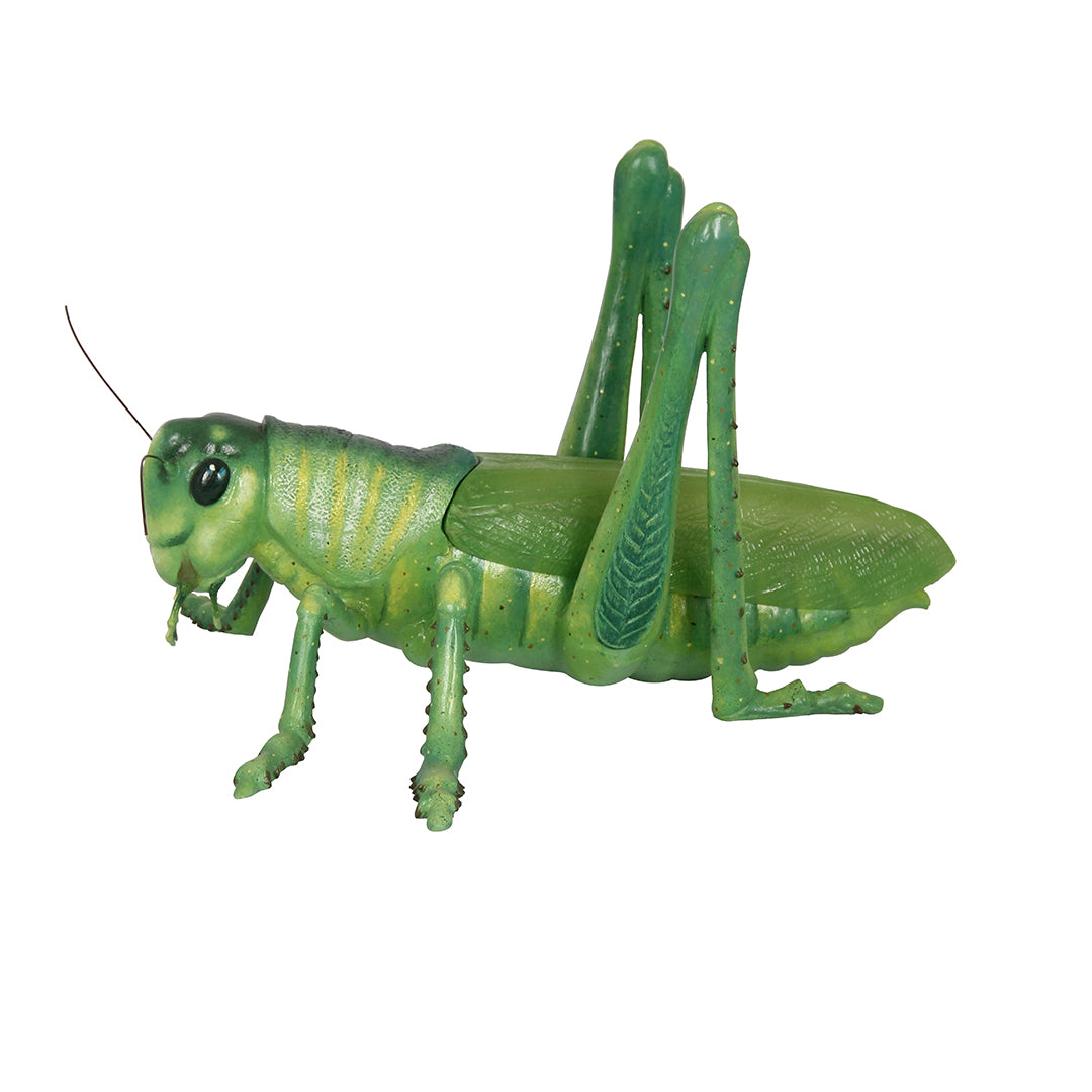 Grasshopper Insect Over Sized Statue
