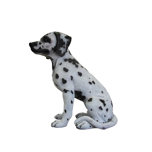 Dog Dalmatian Life Size Statue