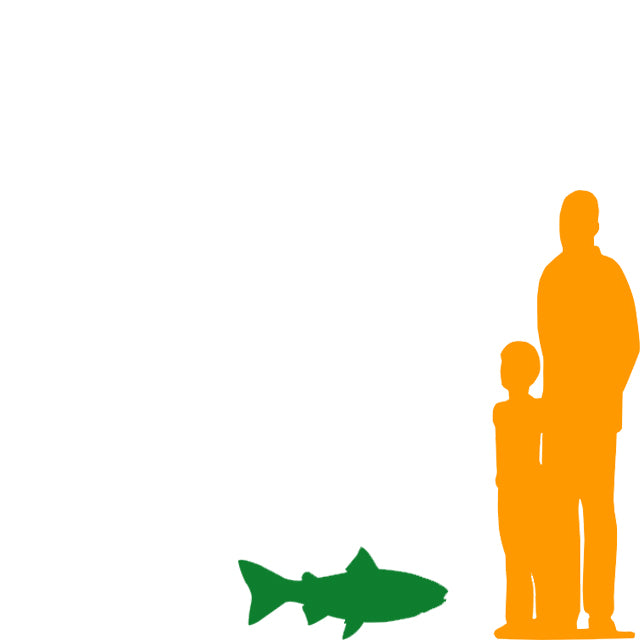 Salmon Fish Life Size Statue