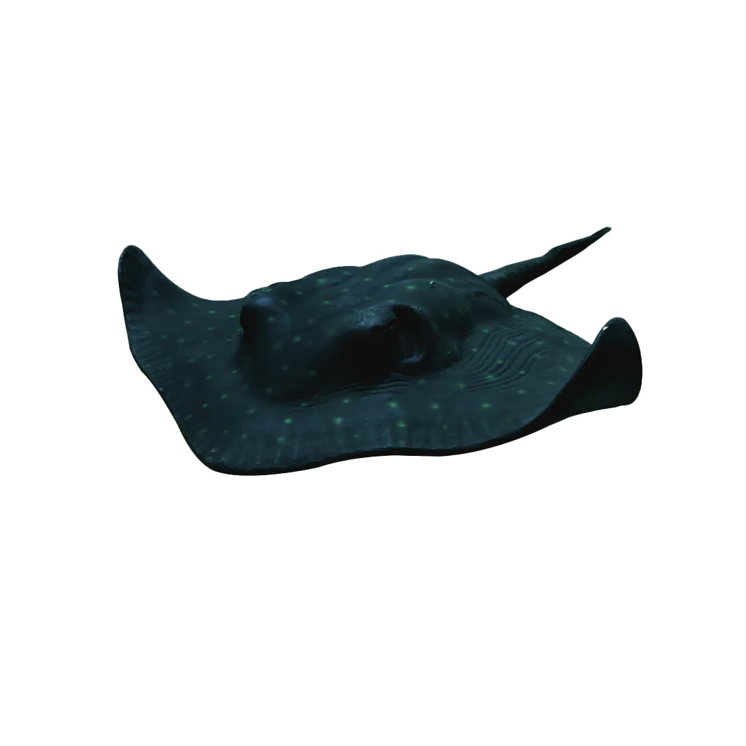 Stingray Life Size Statue - LM Treasures Life Size Statues & Prop Rental
