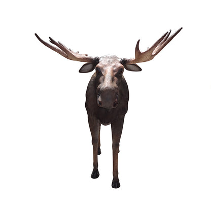 Moose Life Size Statue