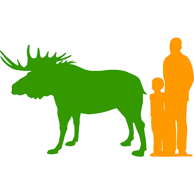 Moose Life Size Statue