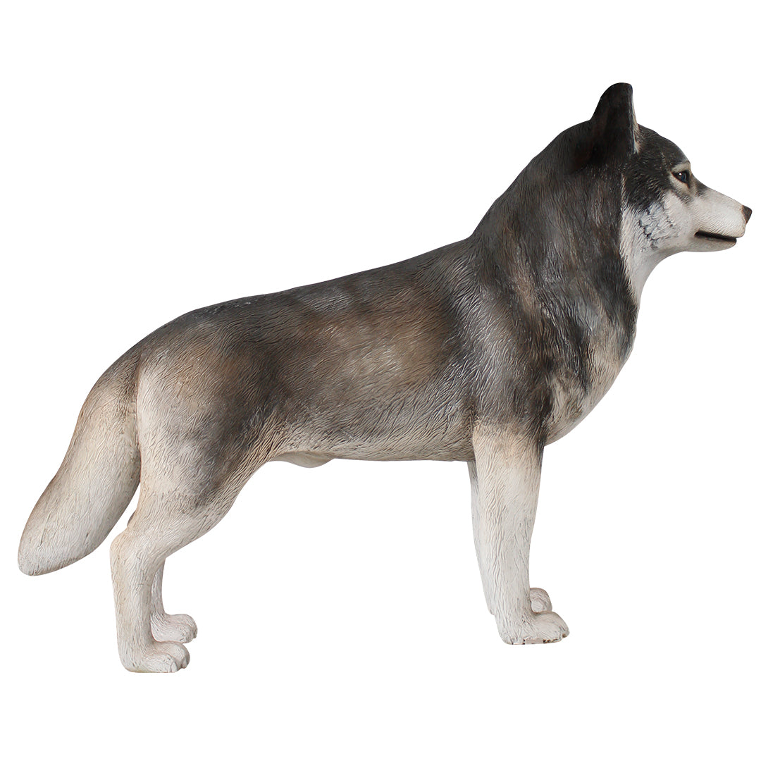 Dog Husky Life Size Statue