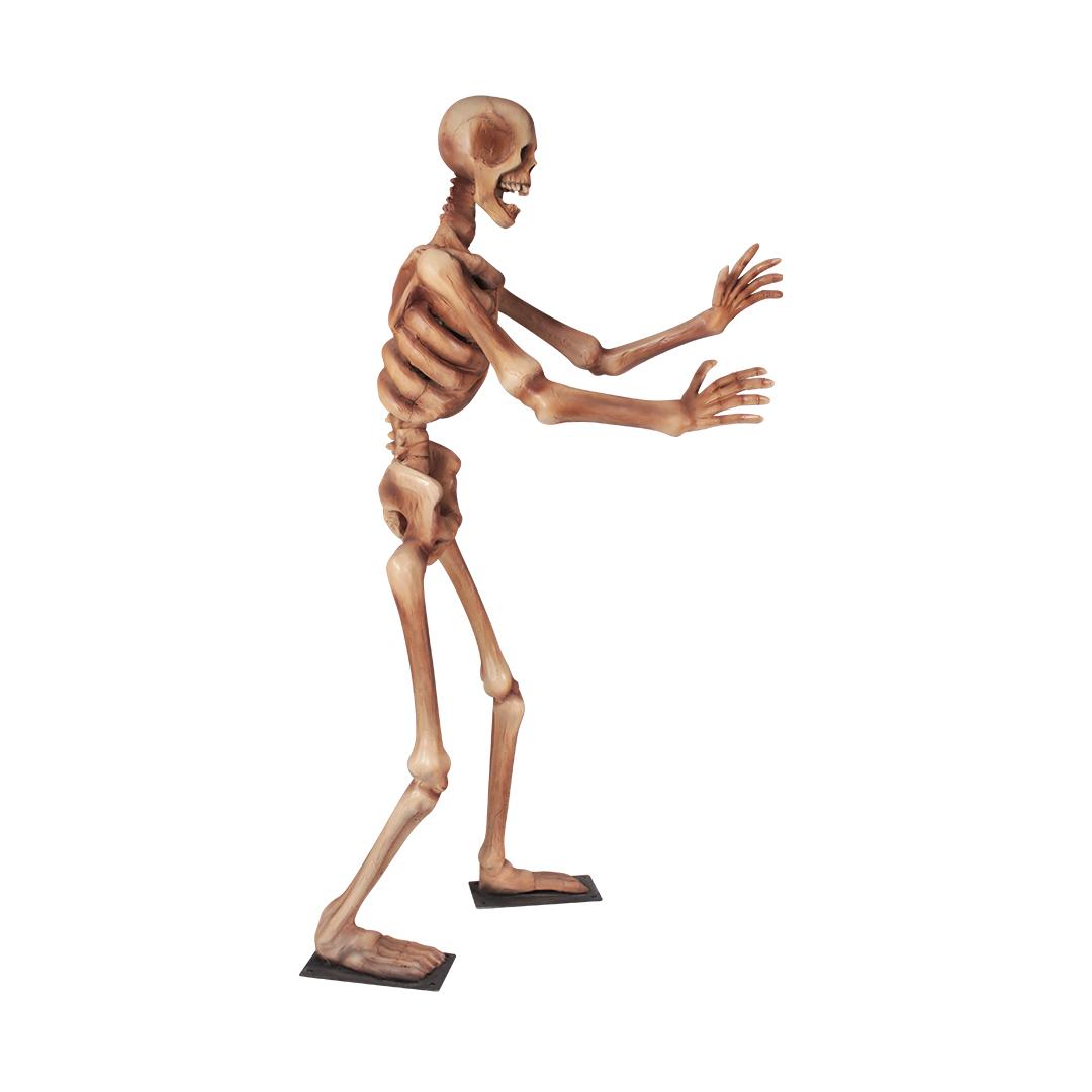 Skeleton Standing Styles Life Size Statue