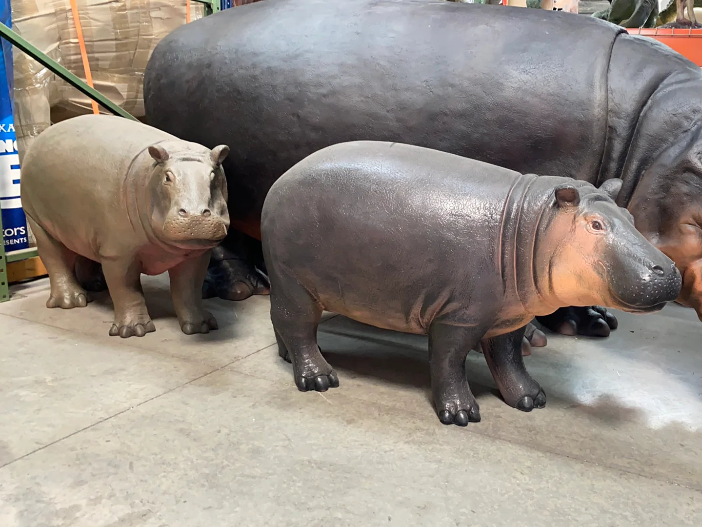 Gray Baby Hippo Life Size Statue - LM Treasures Life Size Statues & Prop Rental