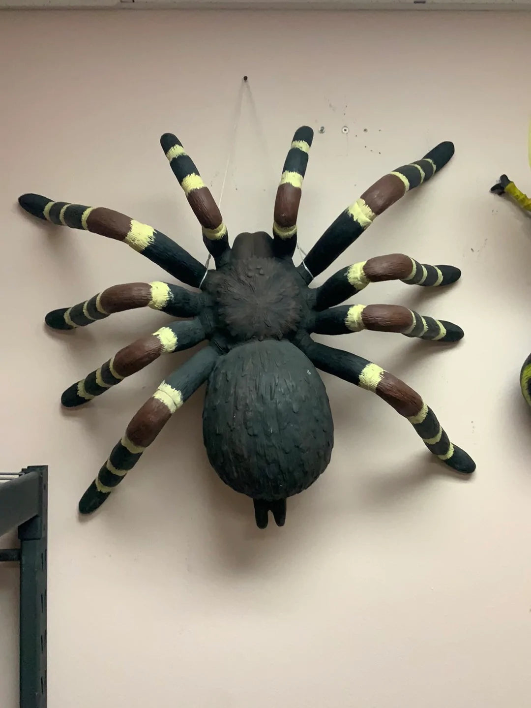 Tarantula Spider Insect Over Sized Statue - LM Treasures Life Size Statues & Prop Rental